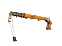  10 Ton Telescopic boom marine crane 