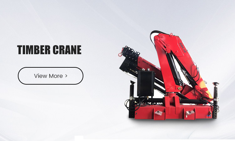 Lightweight Portable SQ6-3ZB3 Crane Unit